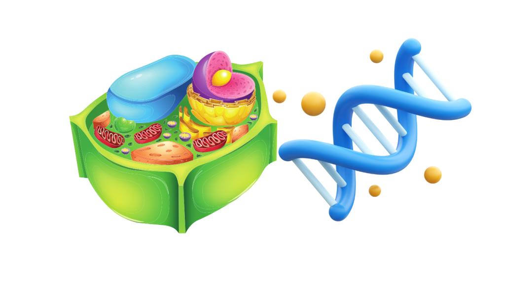 biology